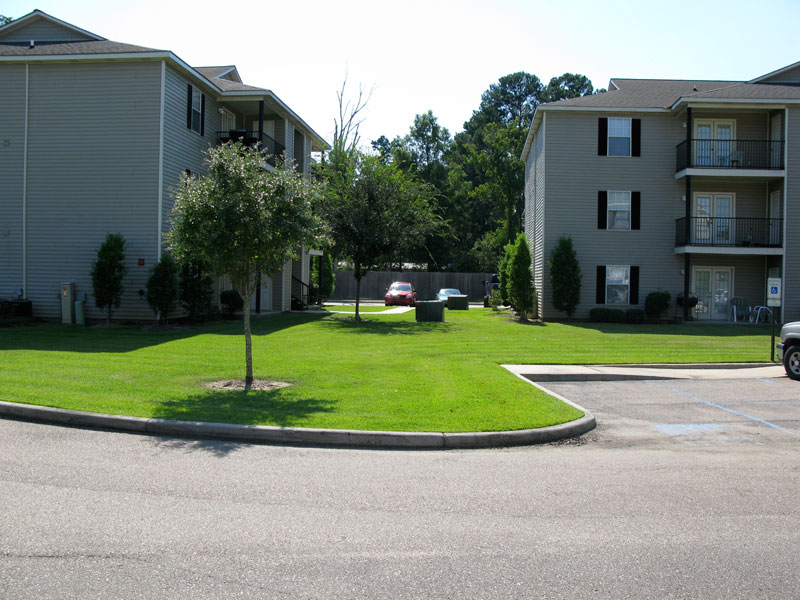 Live Oak Trace Overview